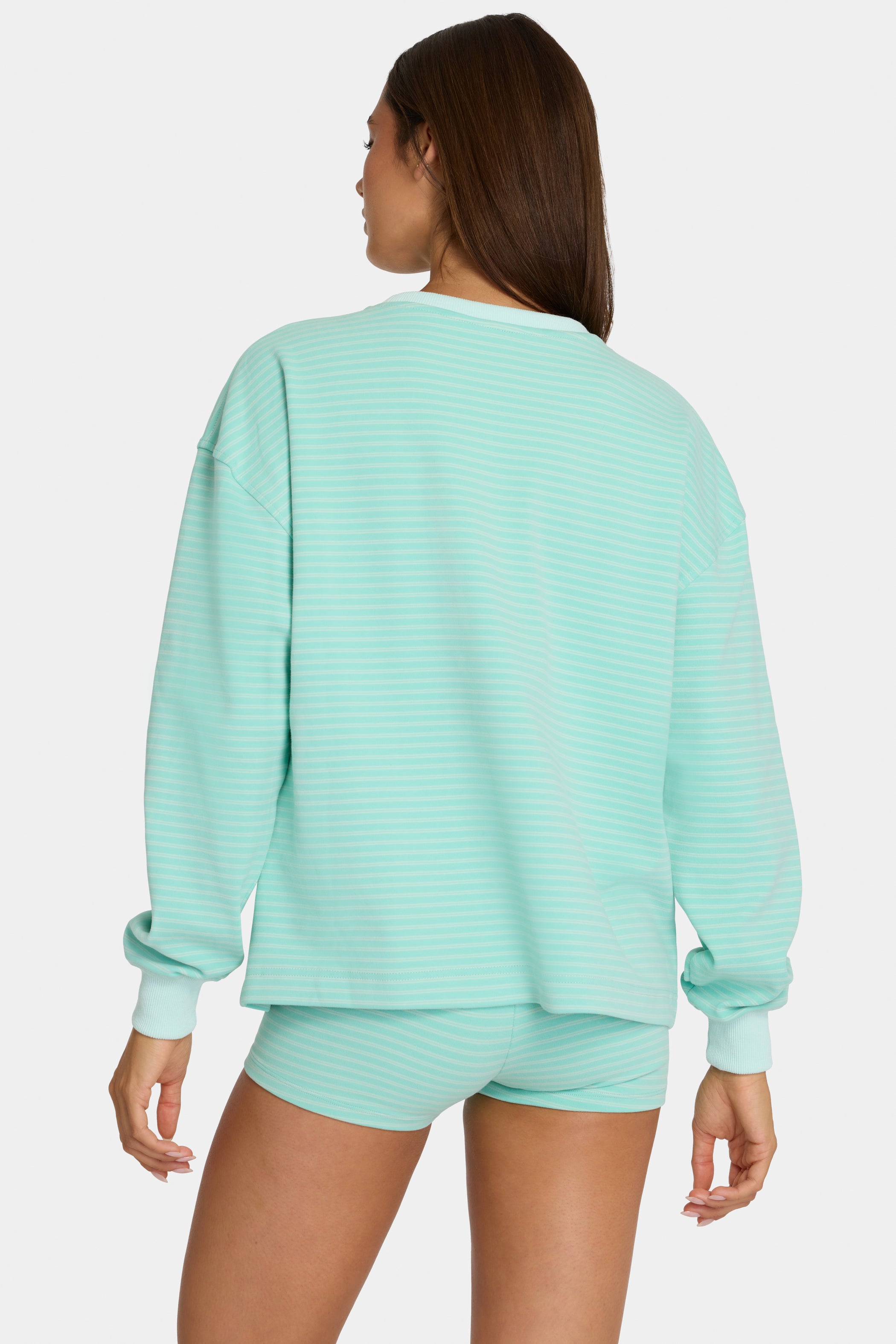 Brushed Jersey Crewneck Sweatshirt in Aqua Stripe