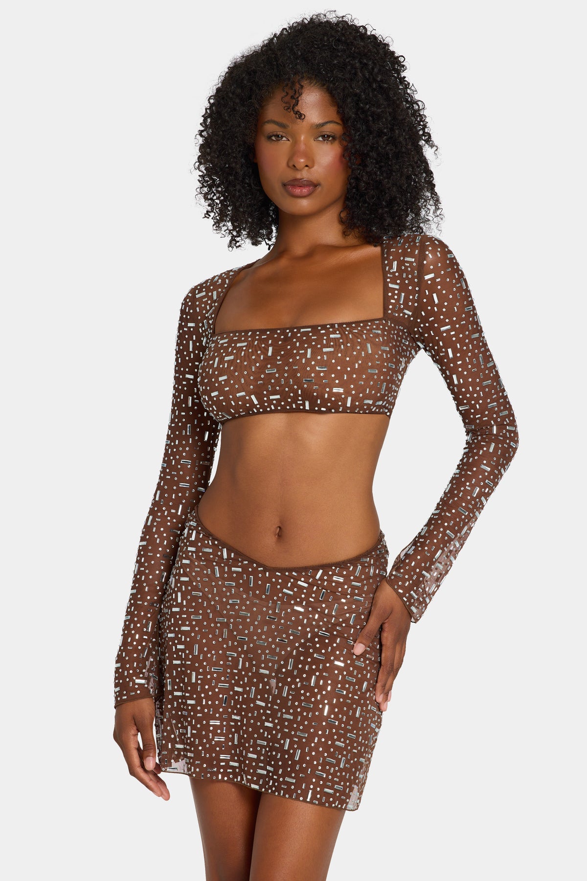 Sheer Embellished Long Sleeve Crop Top in Deep Cocoa - 1